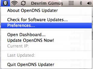 OpenDNS Updater Preferences