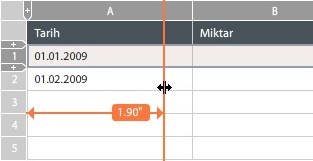 Hücre ve Satır Genişlik/Yükseklik Ayarları