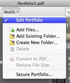 Edit Portfolio